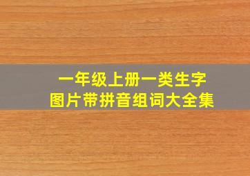 一年级上册一类生字图片带拼音组词大全集