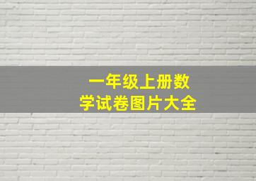 一年级上册数学试卷图片大全