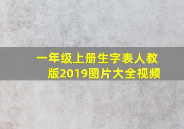 一年级上册生字表人教版2019图片大全视频