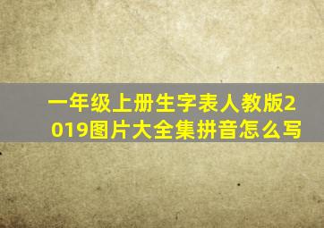 一年级上册生字表人教版2019图片大全集拼音怎么写