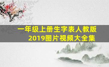 一年级上册生字表人教版2019图片视频大全集