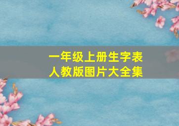 一年级上册生字表人教版图片大全集