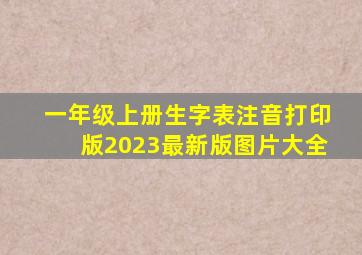 一年级上册生字表注音打印版2023最新版图片大全