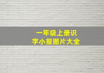 一年级上册识字小报图片大全