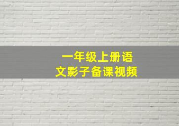 一年级上册语文影子备课视频