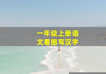 一年级上册语文看图写汉字