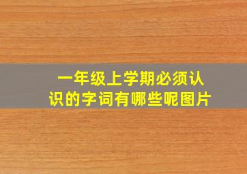 一年级上学期必须认识的字词有哪些呢图片