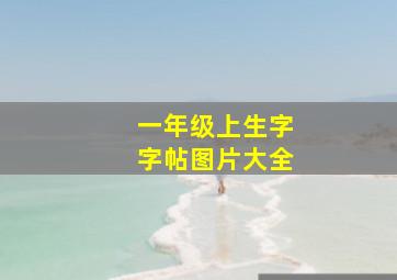 一年级上生字字帖图片大全