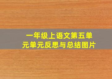 一年级上语文第五单元单元反思与总结图片