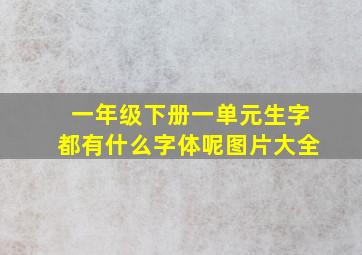 一年级下册一单元生字都有什么字体呢图片大全