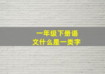 一年级下册语文什么是一类字