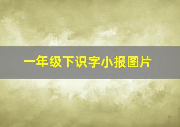 一年级下识字小报图片