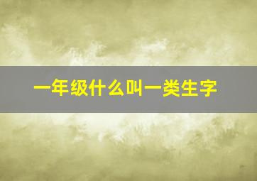 一年级什么叫一类生字