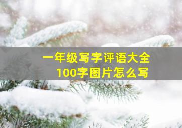 一年级写字评语大全100字图片怎么写