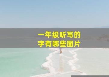 一年级听写的字有哪些图片