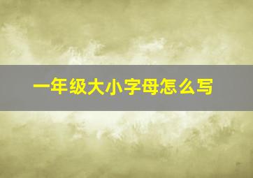 一年级大小字母怎么写