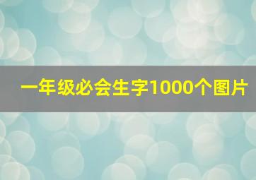 一年级必会生字1000个图片