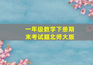 一年级数学下册期末考试题北师大版