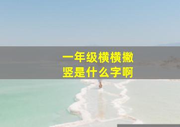 一年级横横撇竖是什么字啊