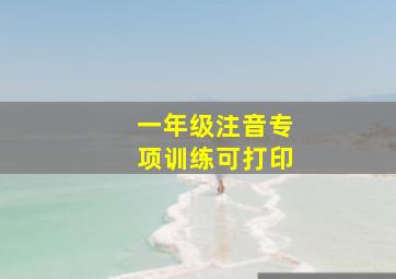 一年级注音专项训练可打印