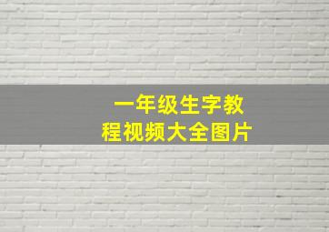 一年级生字教程视频大全图片