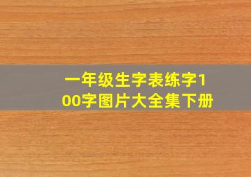 一年级生字表练字100字图片大全集下册