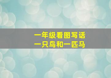 一年级看图写话一只鸟和一匹马