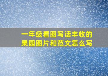 一年级看图写话丰收的果园图片和范文怎么写