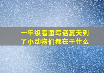 一年级看图写话夏天到了小动物们都在干什么