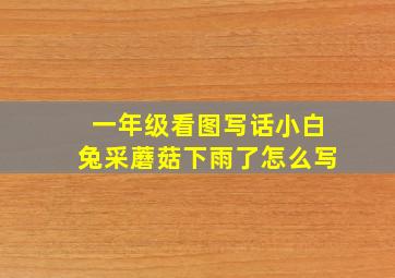 一年级看图写话小白兔采蘑菇下雨了怎么写