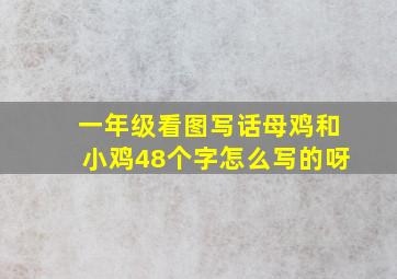 一年级看图写话母鸡和小鸡48个字怎么写的呀