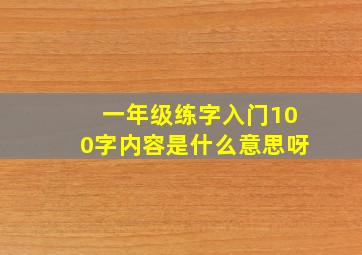 一年级练字入门100字内容是什么意思呀