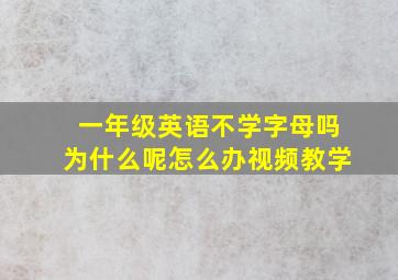 一年级英语不学字母吗为什么呢怎么办视频教学