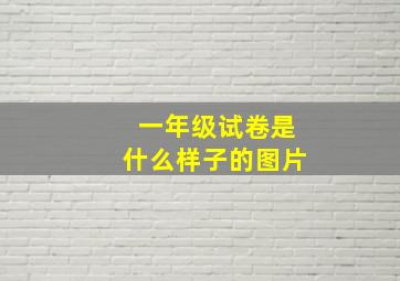 一年级试卷是什么样子的图片