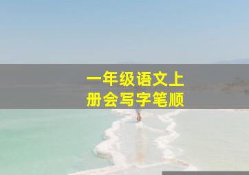 一年级语文上册会写字笔顺