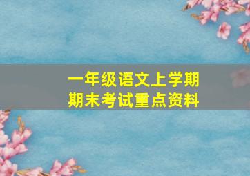 一年级语文上学期期末考试重点资料