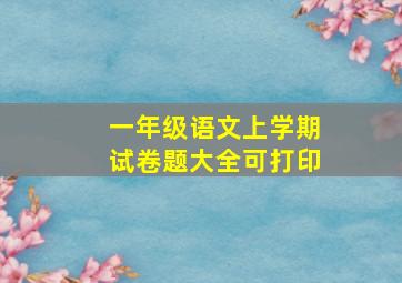 一年级语文上学期试卷题大全可打印