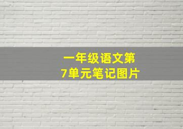 一年级语文第7单元笔记图片