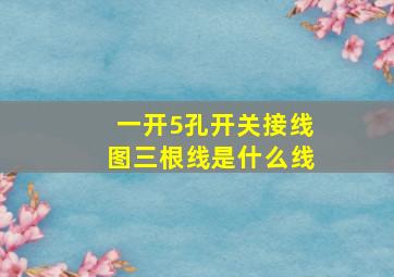 一开5孔开关接线图三根线是什么线