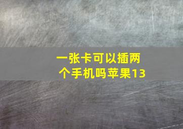 一张卡可以插两个手机吗苹果13