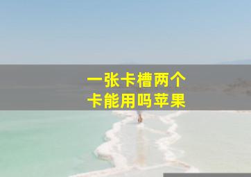 一张卡槽两个卡能用吗苹果