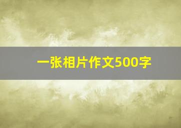 一张相片作文500字