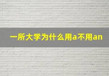 一所大学为什么用a不用an