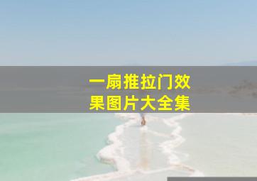 一扇推拉门效果图片大全集