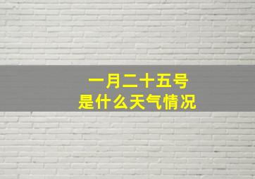 一月二十五号是什么天气情况