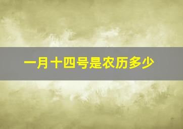 一月十四号是农历多少