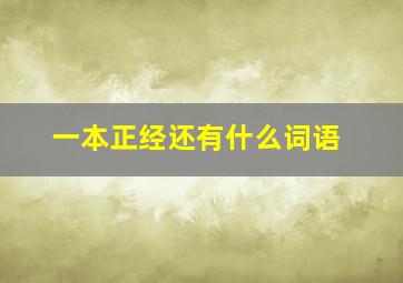 一本正经还有什么词语