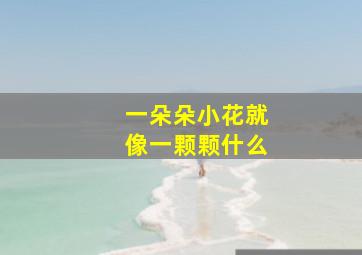 一朵朵小花就像一颗颗什么