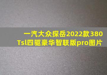 一汽大众探岳2022款380Tsl四驱豪华智联版pro图片