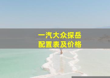 一汽大众探岳配置表及价格